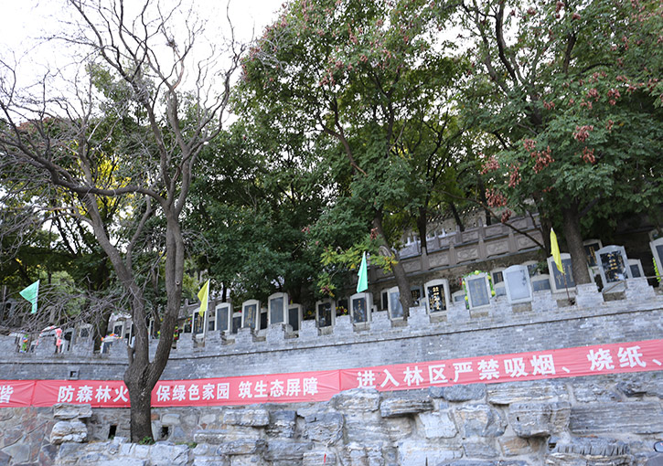 园区环境